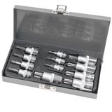  PROLINE   TORX BITFEJES DUGÓKULCS SZETT - T8-T60 - 12 DB 