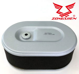  MTD   LÉGSZŰRŐ MTD MOTOR 737-05145  termék fő termékképe