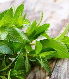 Torronalba MENTA VERDE, 3,5kg/vödör