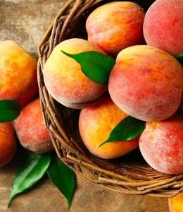 Torronalba FIOR DI FRUTTA PESCA GIALLA, 3,5kg/vödör termék fő termékképe
