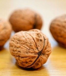Torronalba NOCE, 3kg/vödör termék fő termékképe